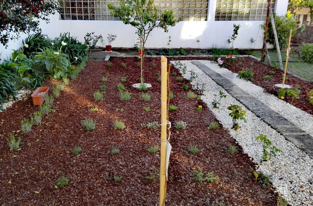 Era Uma Vez Apartment Vila Real Dış mekan fotoğraf